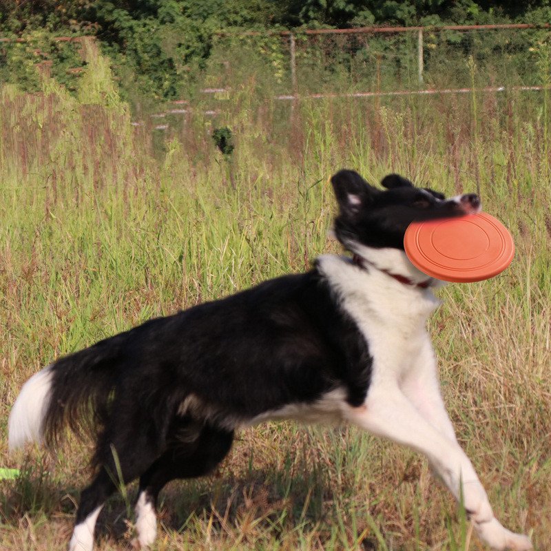 Soft Non-slip Dog Flying Disc Silicone Game Frisbeed Anti-chew Dog Toy Pet Puppy Training Interactive Funny Dog Supplies