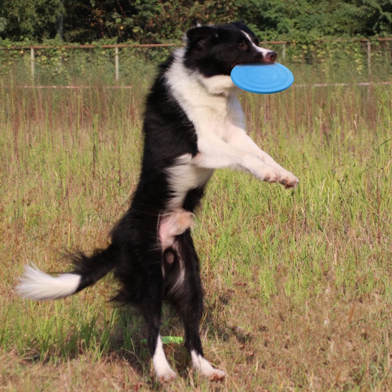 Soft Non-slip Dog Flying Disc Silicone Game Frisbeed Anti-chew Dog Toy Pet Puppy Training Interactive Funny Dog Supplies