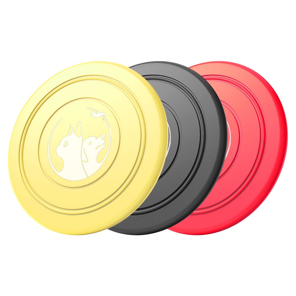 Rainbow Dog Outdoor Toy Frisbee