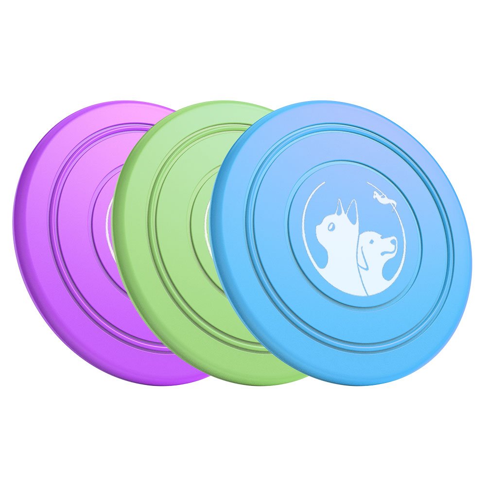 Rainbow Dog Outdoor Toy Frisbee