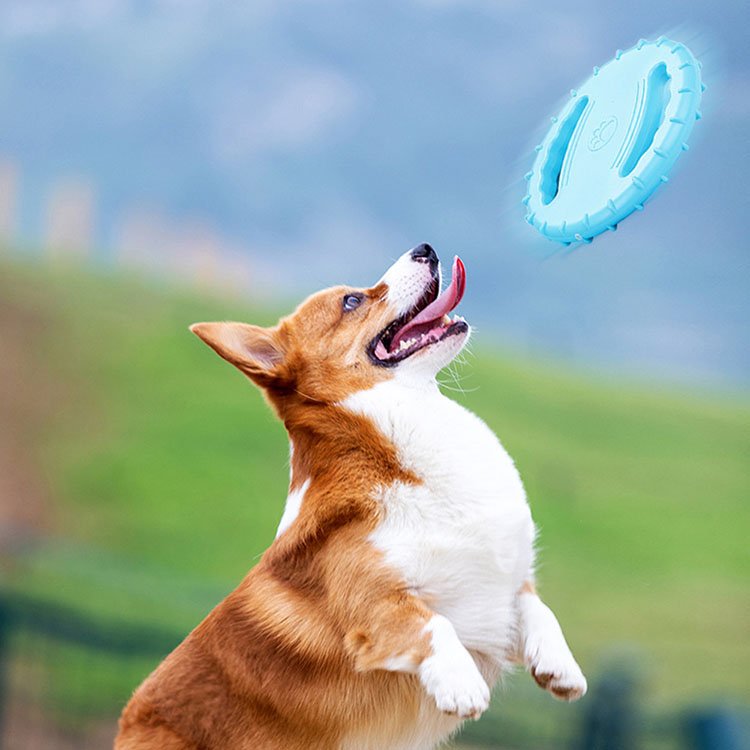 Soft Rubber Pet Training Toy Interactive Resistance Bite Dog Chew Toys Pet Flying Discs Dog Frisbeed