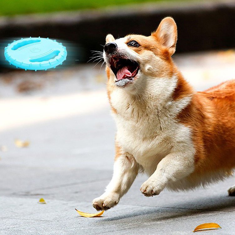 Soft Rubber Pet Training Toy Interactive Resistance Bite Dog Chew Toys Pet Flying Discs Dog Frisbeed