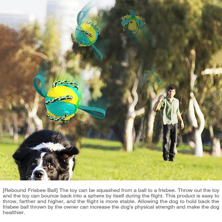 2 in 1 Pet Squeak Training Toys Frisbee Outdoor Training Dog Interactive Soccer Toy with Straps Bite Resistant for Dogs