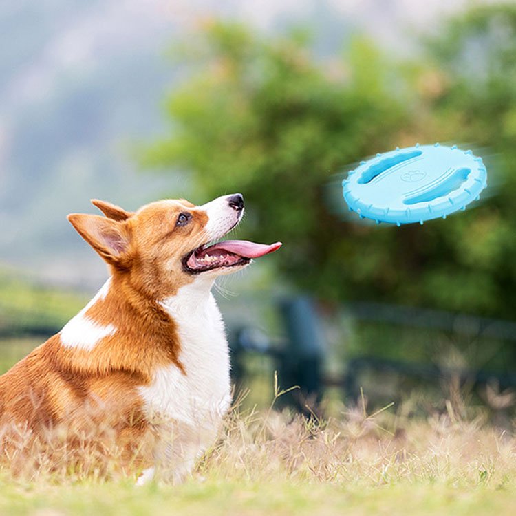 Customized Durable Soft Non-Slip Dog Flying Disc TPR Game Frisbeed Pet Bite Resistant Frisbeed Outdoor Training Dog Toys