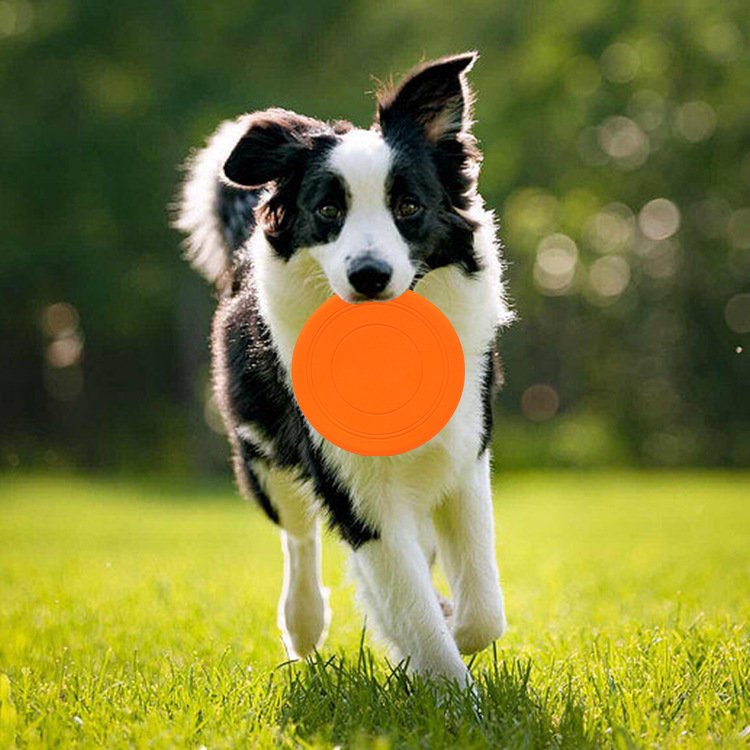 New Product idea Dog Frisbee Custom Logo Aerodynamic Silicone Flying Disk Frisbeed for Dogs