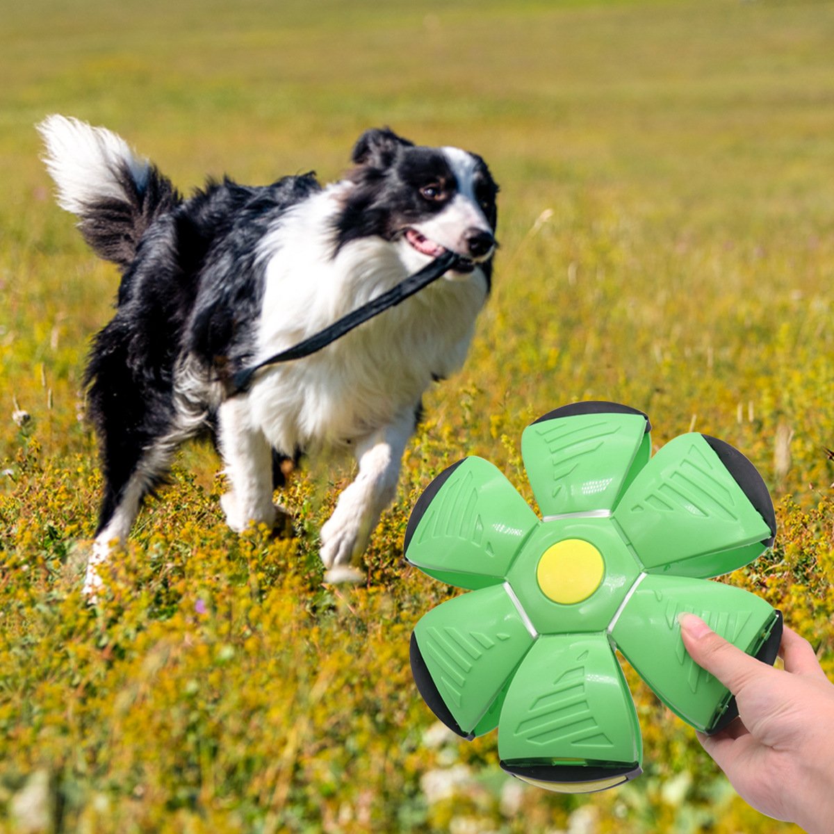 Outdoor Interactive Flying Disc Ball Toys For Dogs And Cats With Automatic Rebound And Light Up