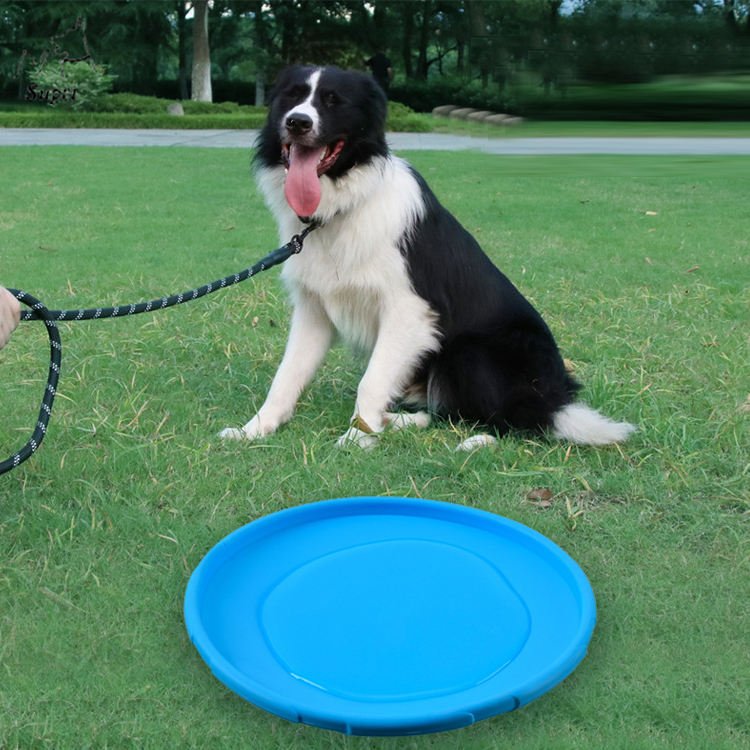 Soft Rubber Round colorful Portable Printing Outdoor Pet Interactive Resistance Dog Chew Toys Flying Discs Frisbeed