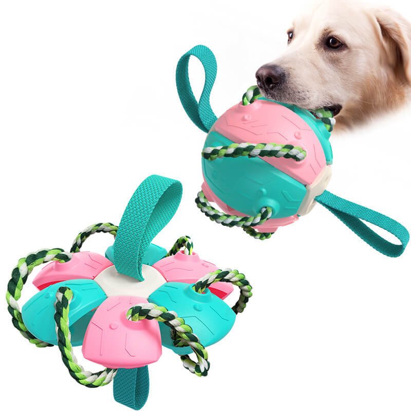 Funny Dog Traveling Training Toy Teeth Clean Tool Dog Outdoor Interactive Football Bitten Flying Disc Game