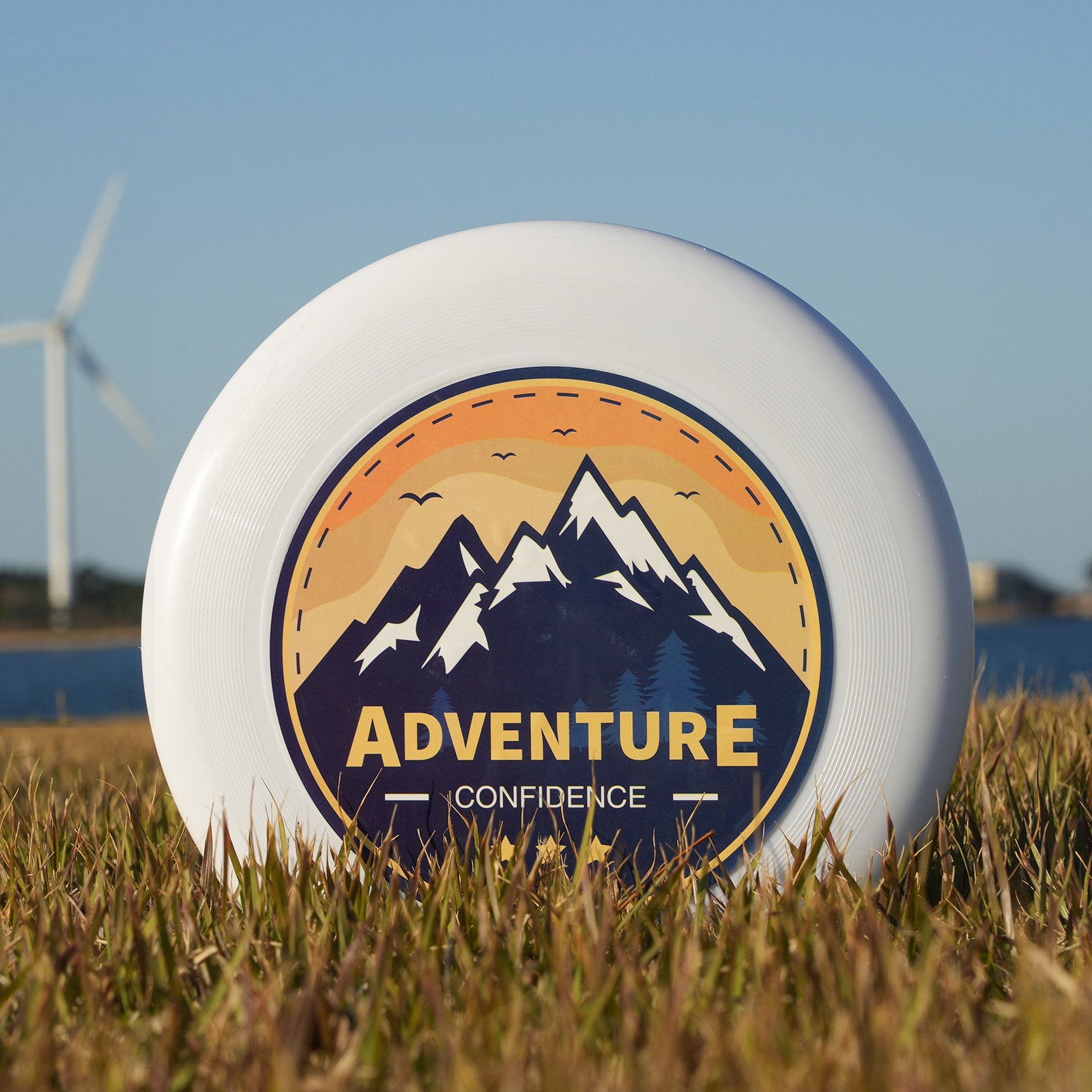 Blue Bay frisbee Custom Logo Frisbeed PE Plastic 175g 275mm Official Size Ultimate Frisbeed