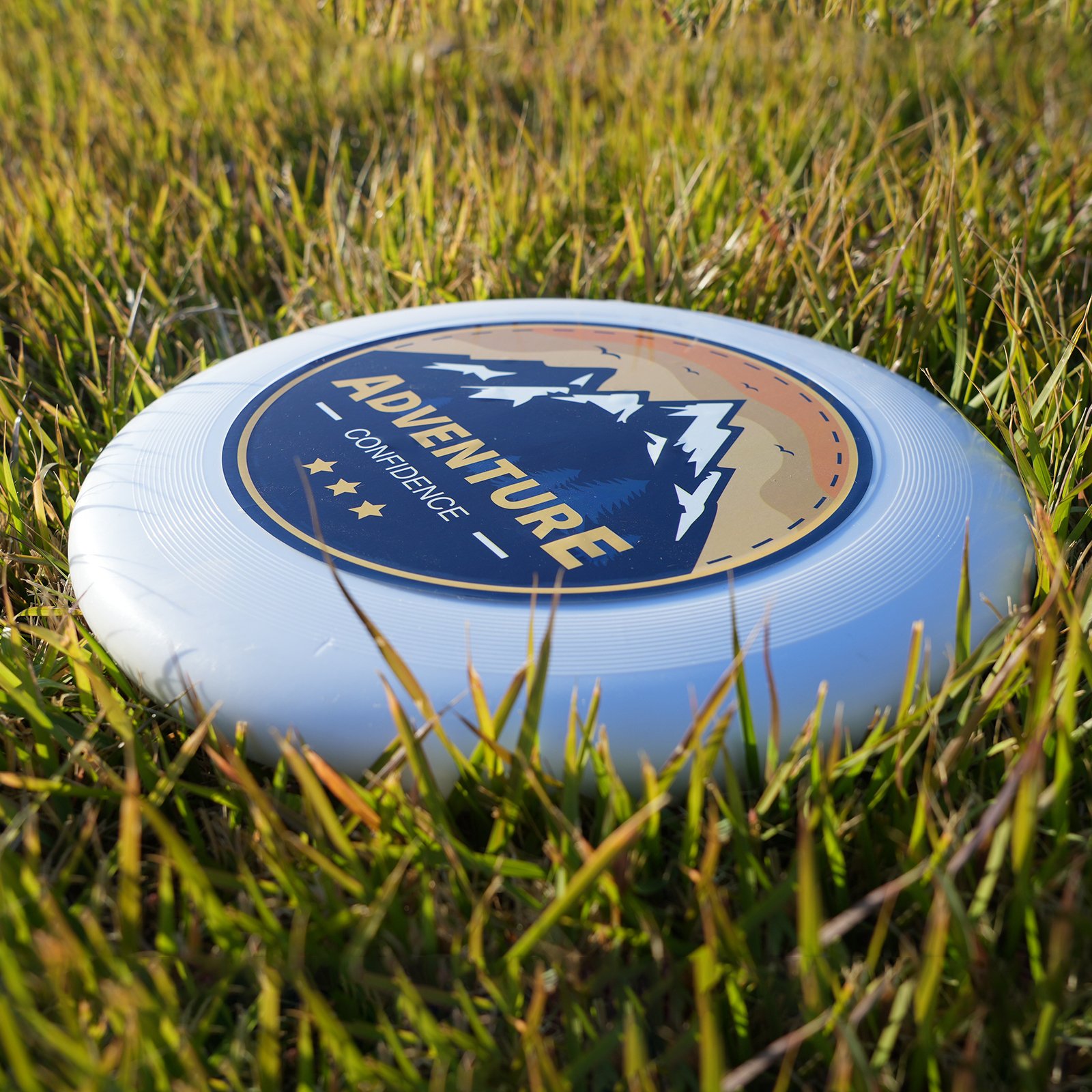 Blue Bay frisbee Custom Logo Frisbeed PE Plastic 175g 275mm Official Size Ultimate Frisbeed