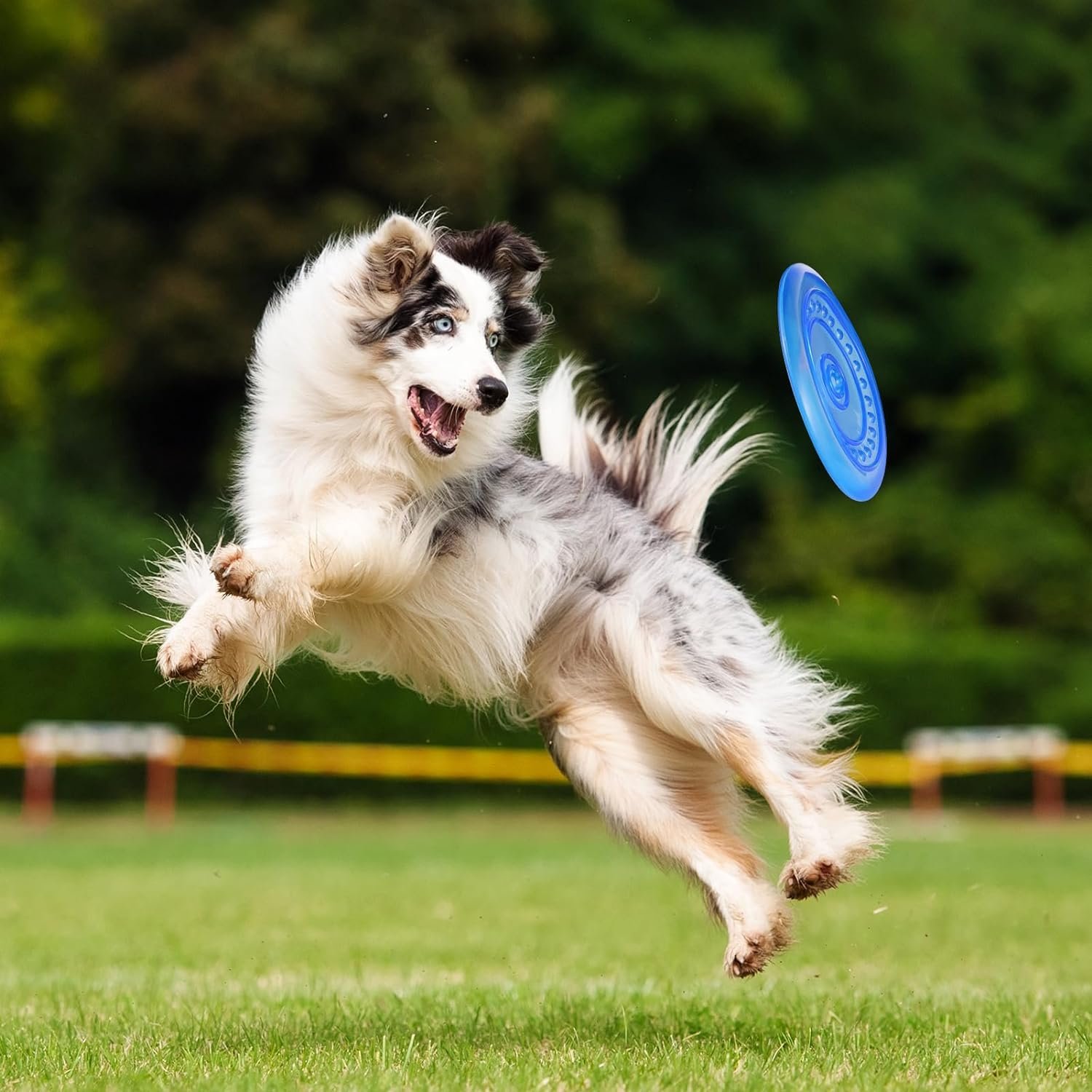 Dog frisbeed Disc with Soft rubber & Soft material for dogs sport toys.