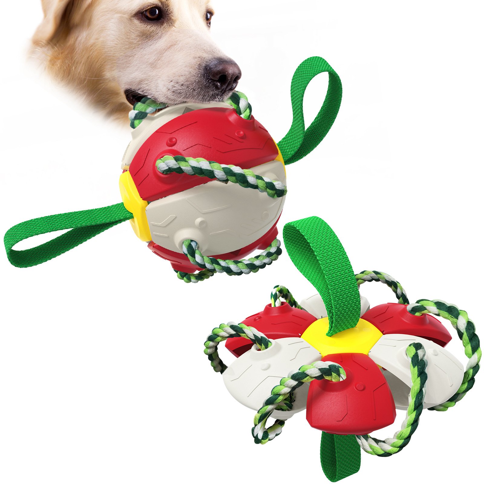 Pet Products Factory Wholesale Outdoor Dog Ball Interactive Football Training Dog Toy Lightweight Pet Interactive Movement Toys