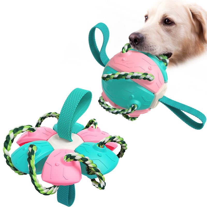 Pet Products Factory Wholesale Outdoor Dog Ball Interactive Football Training Dog Toy Lightweight Pet Interactive Movement Toys