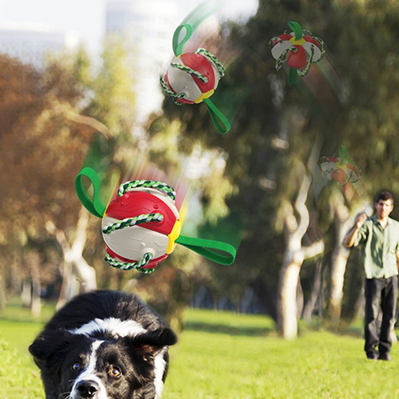 Lovely Dog Toys Soccer Ball Interactive Frisbeed Pet Toys Outdoor Play Interactive Ball With Grab Rope
