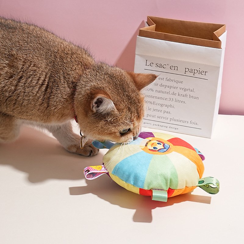 Wholesale Rainbow Cartoon Squeaky Frisbee Pet Dog Interactive Toys Bite-Resistant Plush Cat Toy Sustainable Funny Bag Packaging