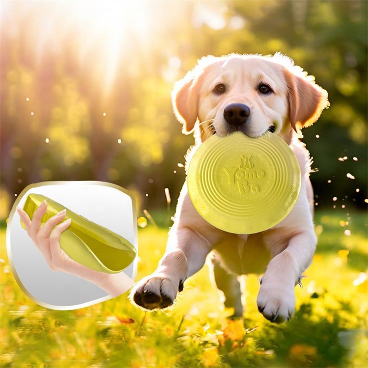 Professional Custom Color Sports Game Dog Toys Dog Fashion Soft Silicone Circular Pets Dog Flying Discs