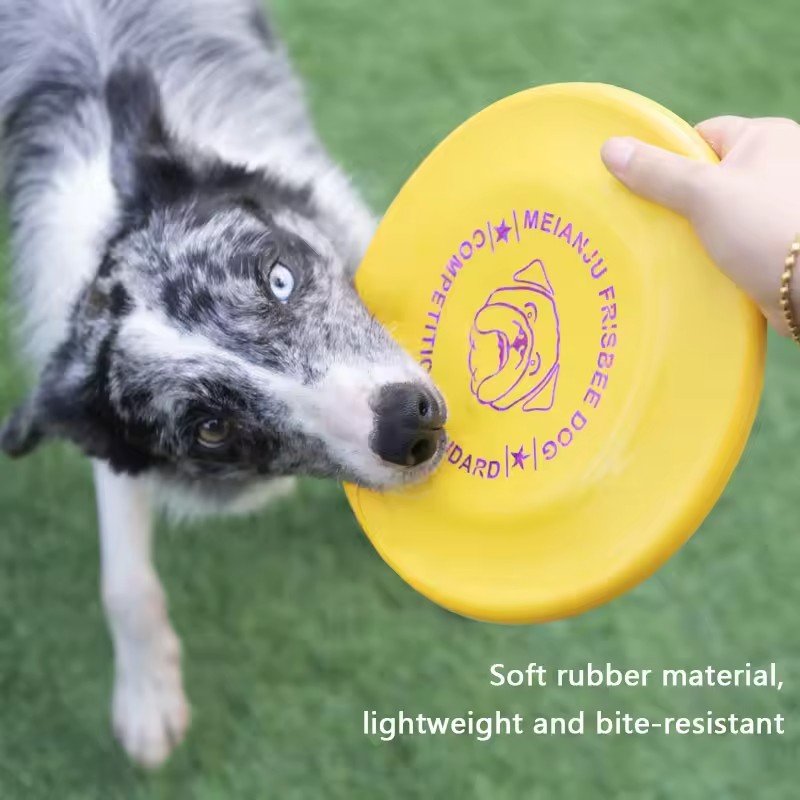 Xianchanpets Pet Toy Dog Training Soft TPR Dog Frisbeed Toy Floats Water Interactive Flying Discs Toys For Dogs