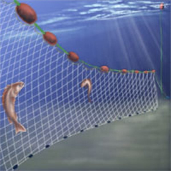 Low Price Gillnet Fishing Net for Small Fish Tire Line with Frisbee Cast Net 1*60m