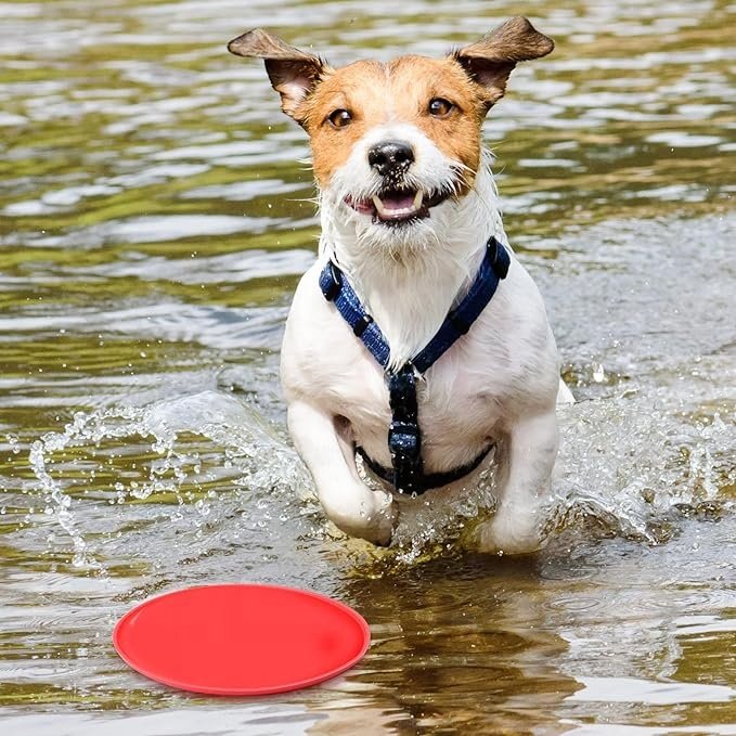 OF Wholesale Durable Bite-Resistant Dog Flying Disc Dog Toys Interactive Frisbee Toy