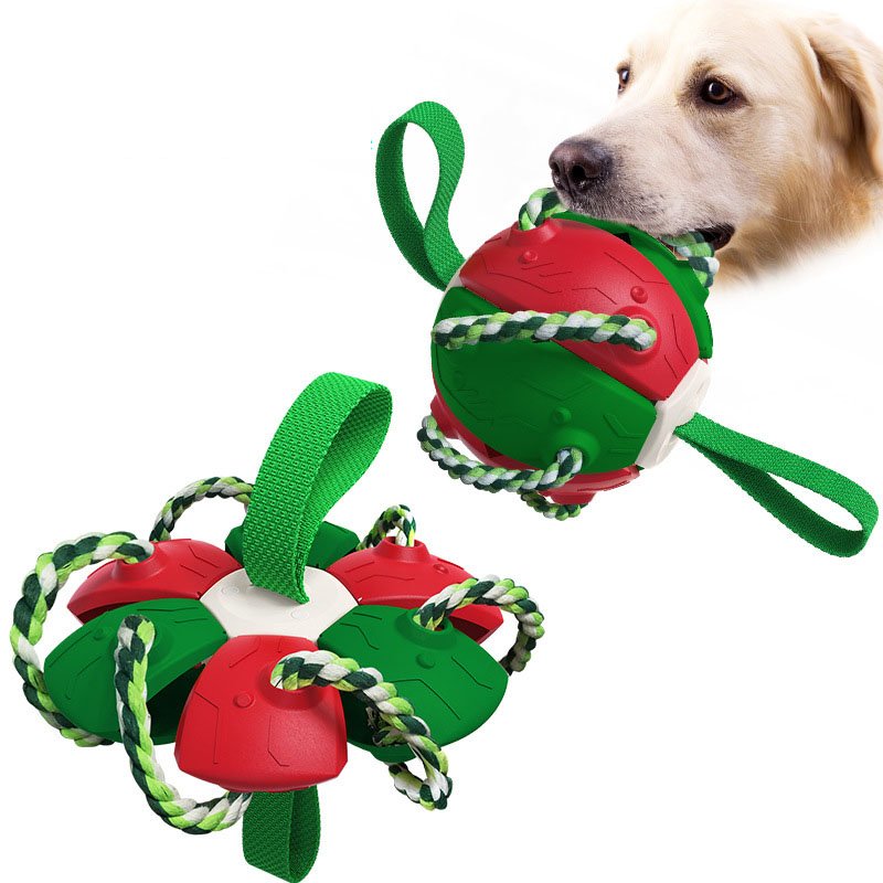 2023 new hot Interactive outdoor Pet fly disk training football dog toys pet training football frisbeed toys