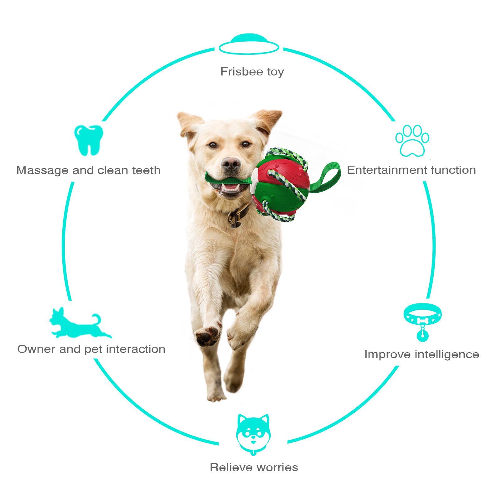 2023 new hot Interactive outdoor Pet fly disk training football dog toys pet training football frisbeed toys