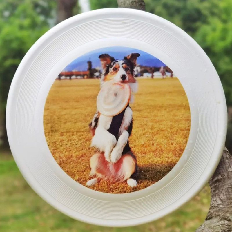New Personalized Pet Frisbee 240 Standard Competition Frisbee Pet toy Competition disc side grazing training disc