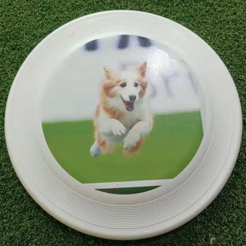 New Personalized Pet Frisbee 240 Standard Competition Frisbee Pet toy Competition disc side grazing training disc