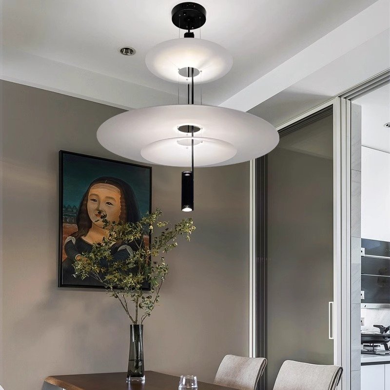 Italian modern minimalist creative frisbee living room flamingo art personality Nordic restaurant study chandelier