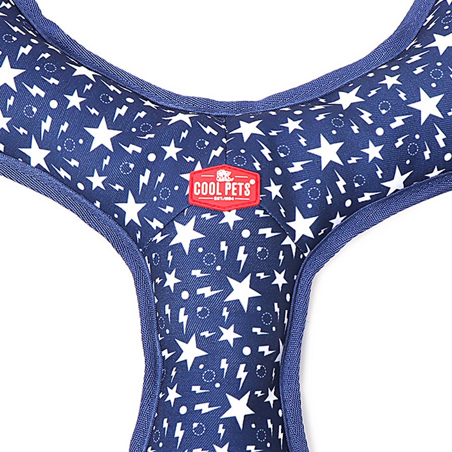 ODM Top Quality Training oxford Triangle Frisbee train Bite resistant Throwing toys Pet supplies For dogs