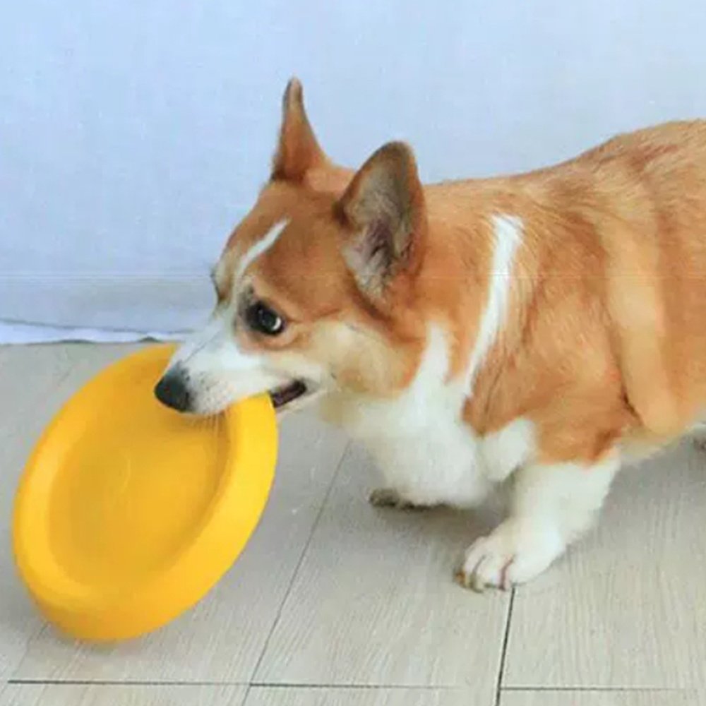 Wholesale Custom Pet Toy Throw And Catch Silicone Foldable Dog Flying Disc