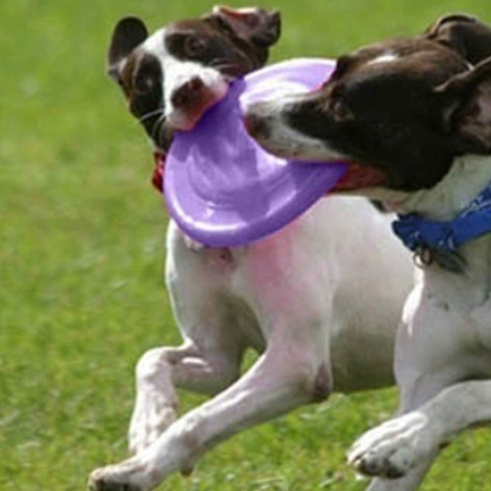 Wholesale Custom Pet Toy Throw And Catch Silicone Foldable Dog Flying Disc