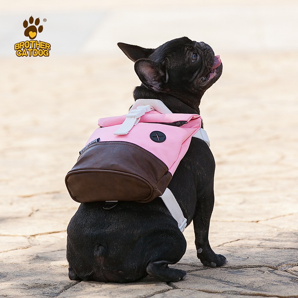 new Arrival durable Dog backpack custom with different colors dog poop backpack harness