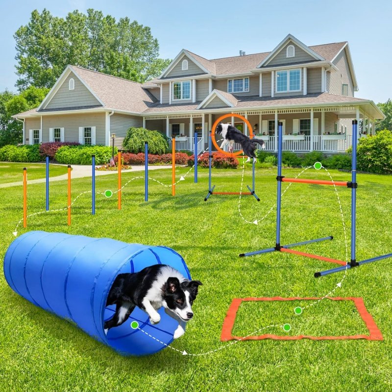 Dog Agility Equipment Set Pet Obstacle Training Course Tunnel Pole Kit