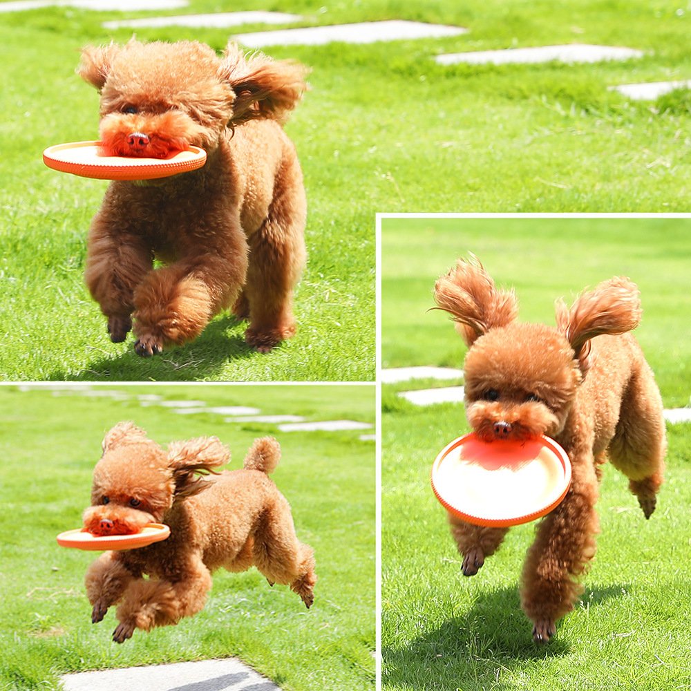 High Quality Round Pet Dog Frisbeed Dog Pet Training Toys EVA Bite Resistant Flying Disc Frisbeed