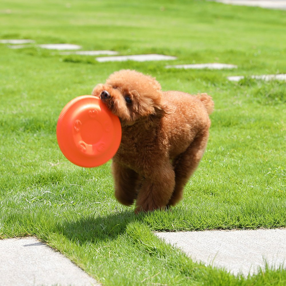 High Quality Round Pet Dog Frisbeed Dog Pet Training Toys EVA Bite Resistant Flying Disc Frisbeed