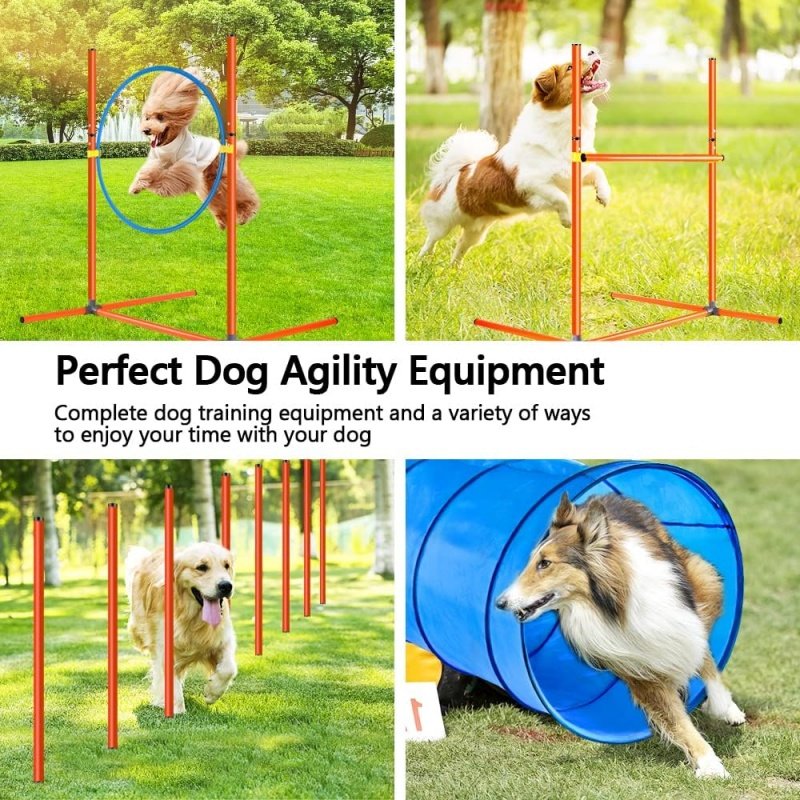 12SETS Obstacle Agility Training Starter Kit Pet Outdoor Games Including Tunnel Dog Agility Training Equipment