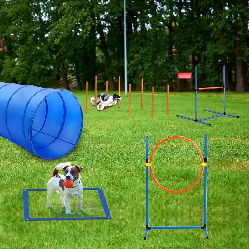 12SETS Obstacle Agility Training Starter Kit Pet Outdoor Games Including Tunnel Dog Agility Training Equipment