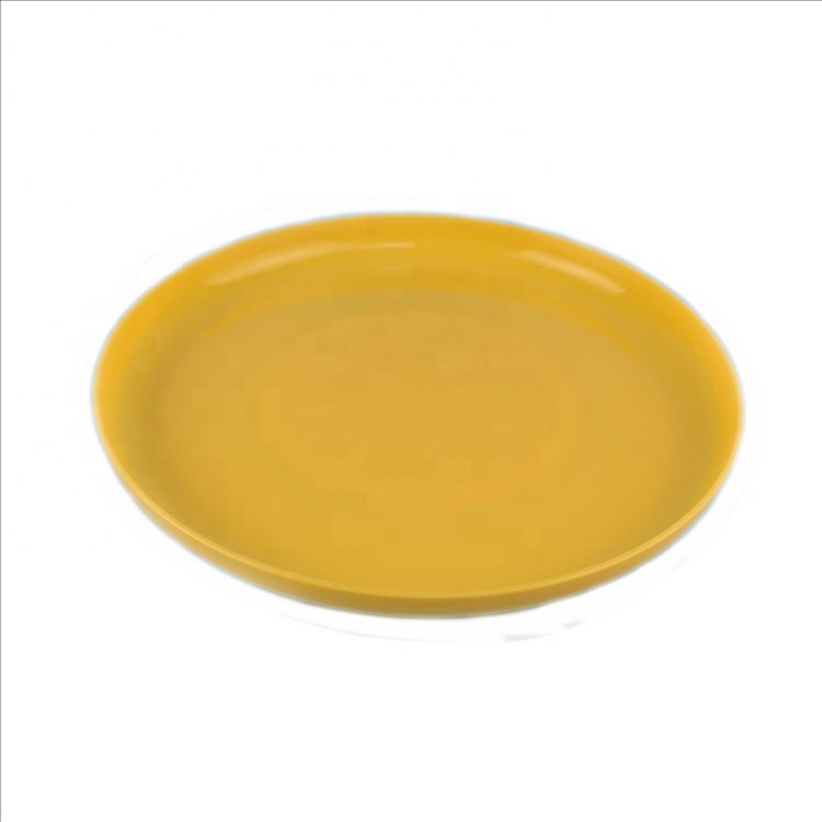 9 inch circular outside dog cat flying disc training toys plastic PP frisbeed pets