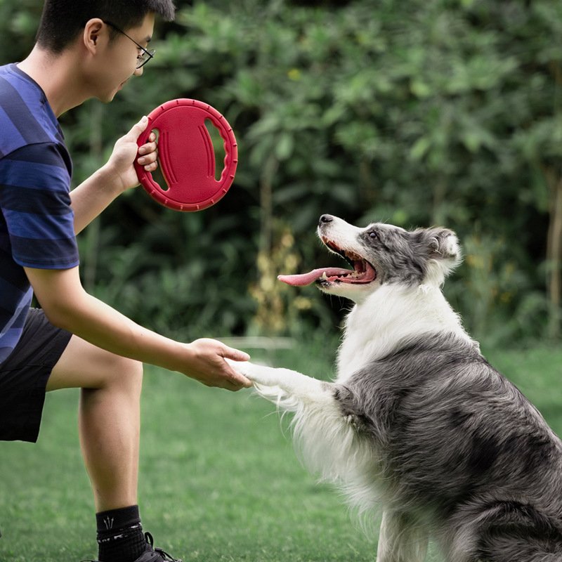Hollow Design Dog Training Flying Disc EVA Water Floating Interactive Dog Frisbeed Toy