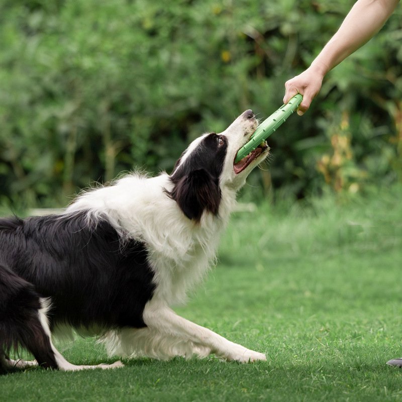 Hollow Design Dog Training Flying Disc EVA Water Floating Interactive Dog Frisbeed Toy