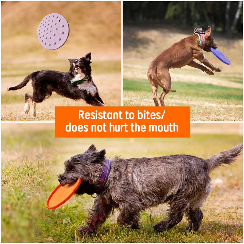 Dog toys large dog labra multilateral herding outdoor interactive tossing toy frisbee frisbee dog training supplies
