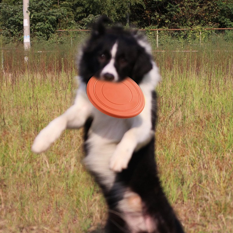 Soft Non-SlipDog Flying Disc Silicone Game Frisbeed Anti-Chew Dog Toy Dog iq Training Toy