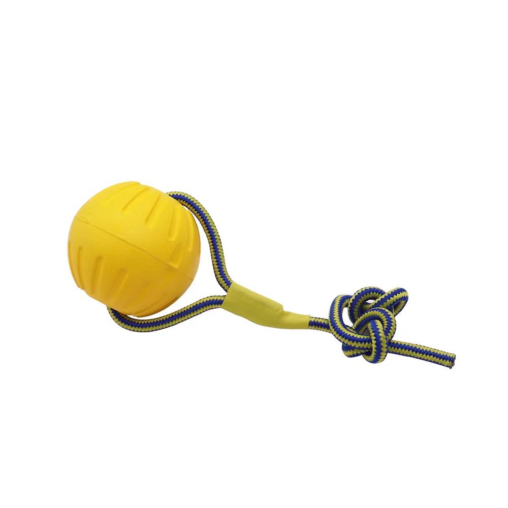 Hot Sale Heavy Duty Float Rubber Squeaky Dog Balls Chew Spike Ball rope ball circle ring frisbee Toys for playing and Training