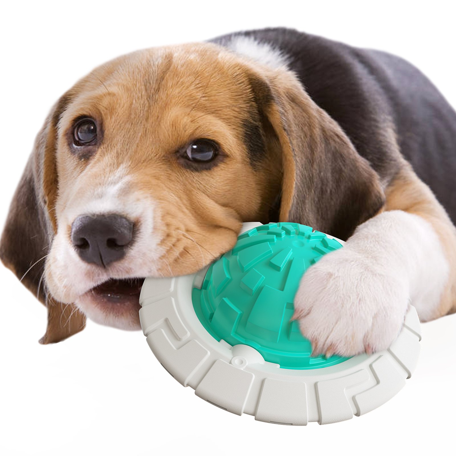 High Quality Pet Dog Squeak Toys Teething Sound Ball & Interactive Frisbee for Teething & Playtime