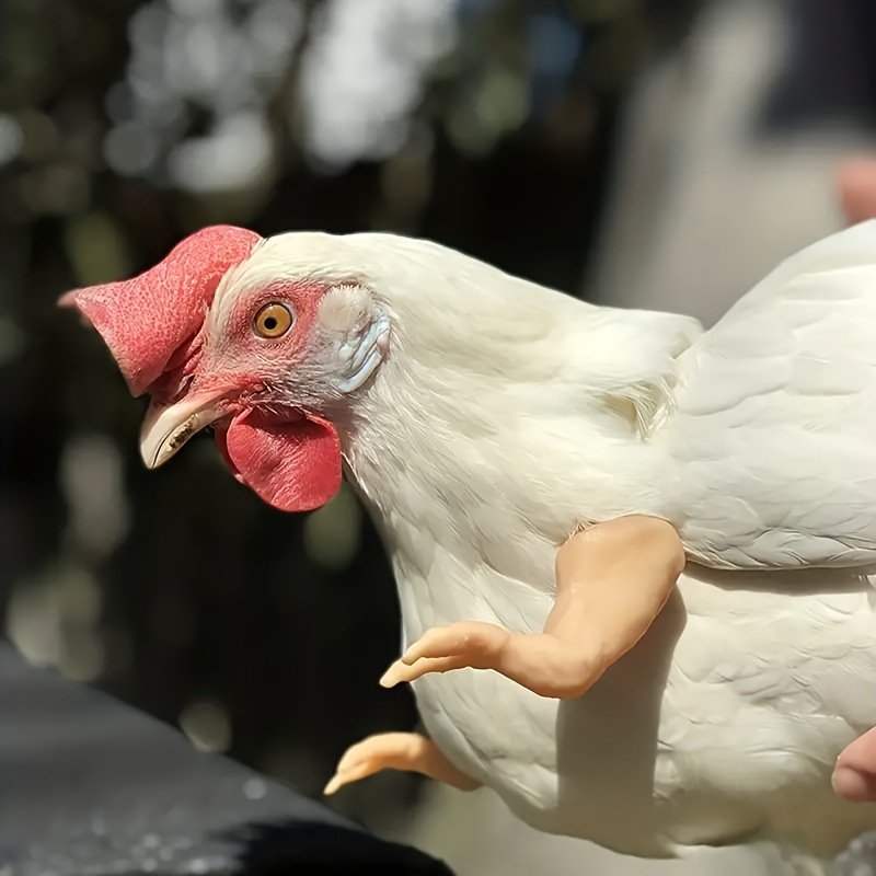 SinSky Wholesale Funny Pet Item Feigned Chicken Forelimb Interesting Chicken Psyduck Arm Decoration