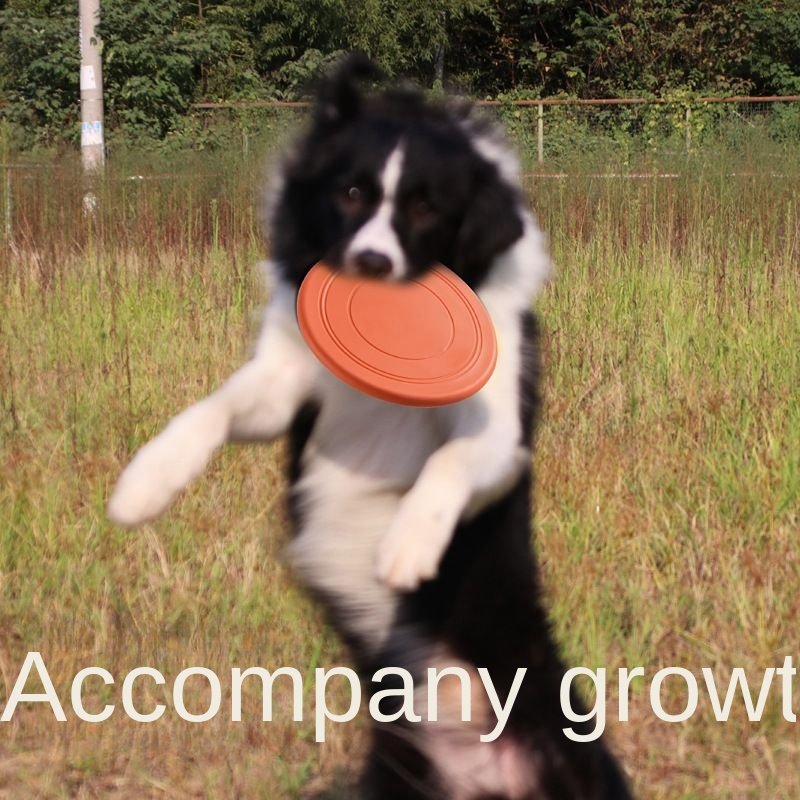 Pet toy dog disc interactive training floating water bite resistance