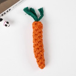 Carrot