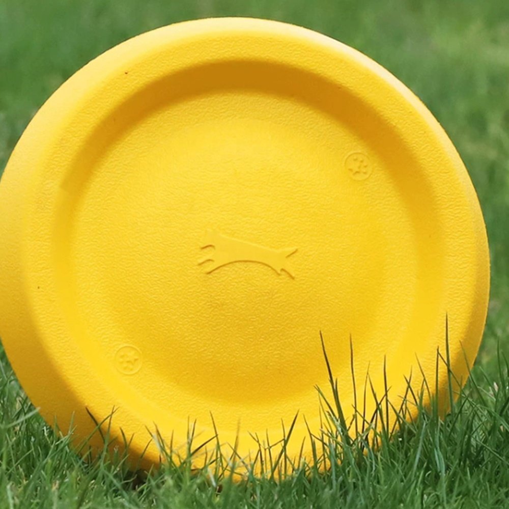 High Quality Frisbeed for Outdoor Sport Training Dogs Frisbeed Golf Disc Flying Frisbeed Toy Pet Disk And Kids Disk