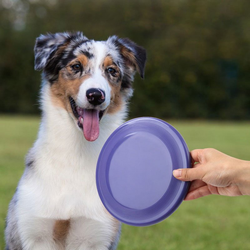 Silicone Soft Flying Discs Pet Dog Bite Resistant outdoor Training Dog Toys Soft Pet Frisbeed