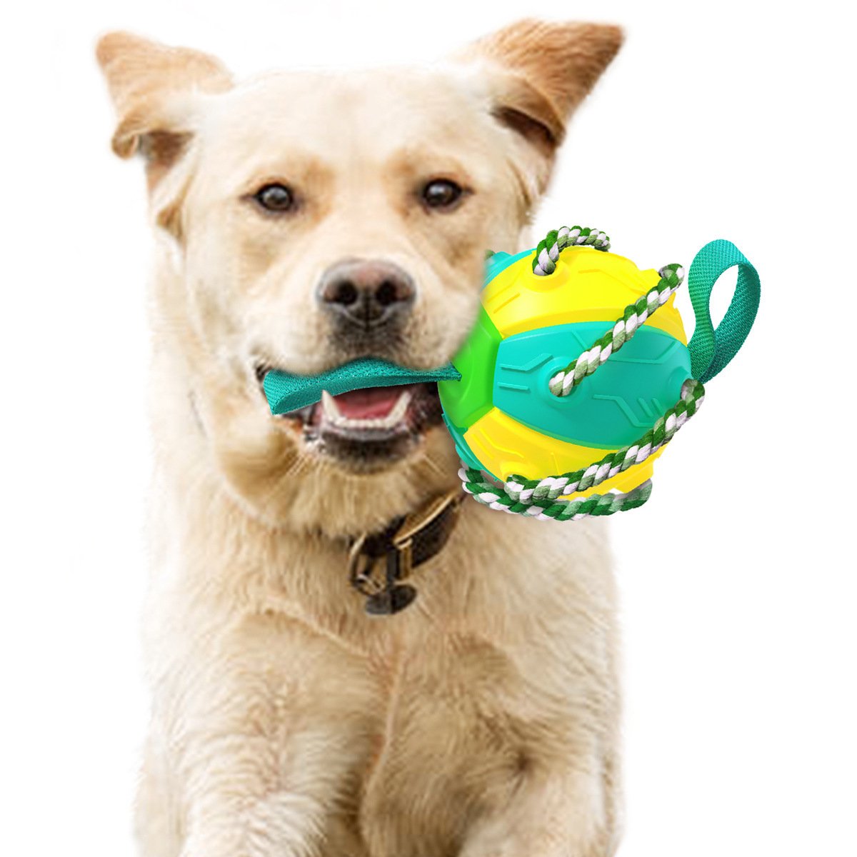 Pet Frisbeed Dog Chew Ball Toys for Aggressive Chewers Interactive Flying Disc Exercise Toys Rebound Frisbeed Balls